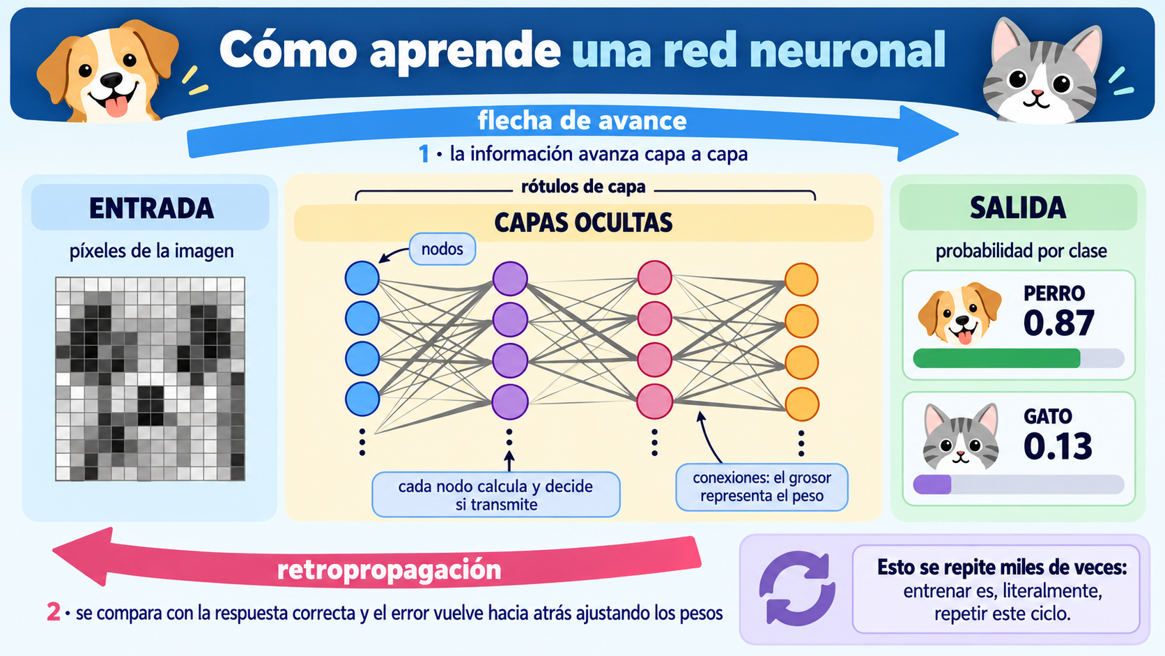 Infografía: cómo aprende una red neuronal. La información avanza de la capa de entrada (píxeles de la imagen) a las capas ocultas y a la salida con la probabilidad de cada clase; la retropropagación devuelve el error hacia atrás y ajusta los pesos.